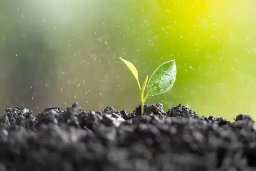 Vienreizēja koučinga sesija